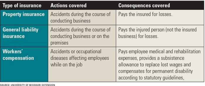 What are the exclusions in All Risk Insurance?