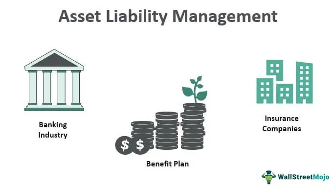 What is Asset Liability Management?