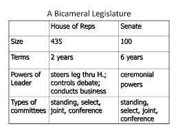 Definition and Purpose of a Bicameral System