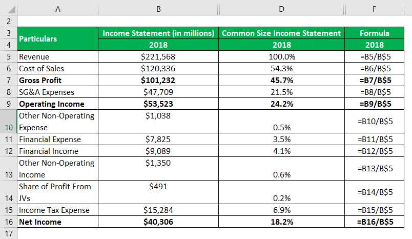 Example of a Common Size Income Statement