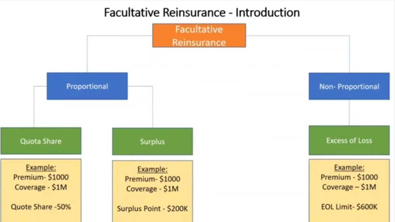 How Does Facultative Reinsurance Work?