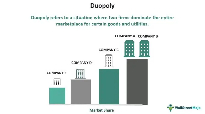 Types of Duopoly