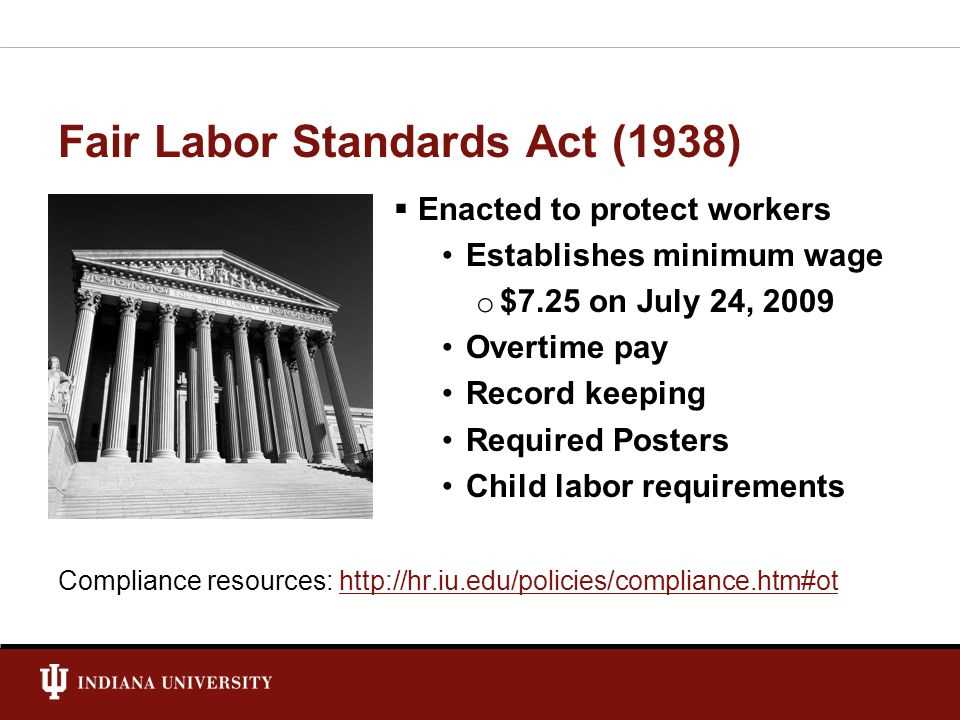 Comprehensive Overview of the Fair Labor Standards Act