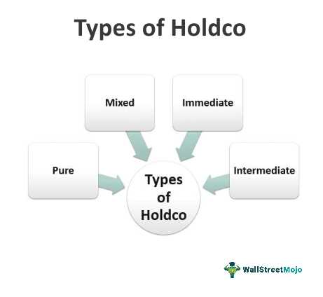 Holdco Examples and Overview