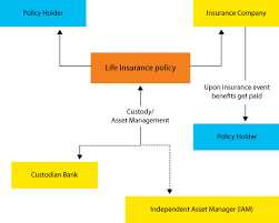 1. Term Life Insurance