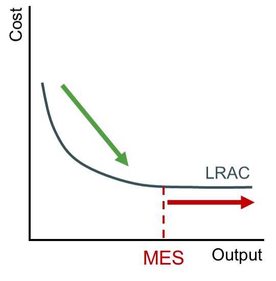 What is Minimum Efficient Scale (MES)?