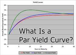 How is the Spot Curve Calculated?