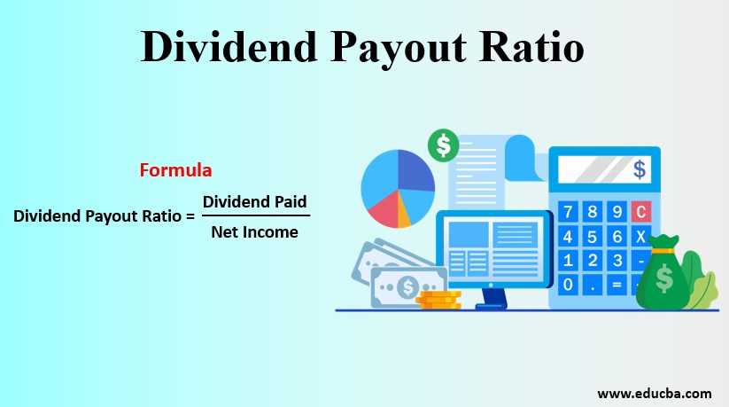 Payout Ratio Explained: How to Use and Calculate