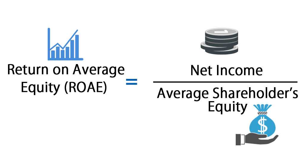 Importance of ROAE