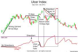 What is Ulcer Index?
