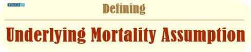 Exploring the Concept of Mortality Assumption