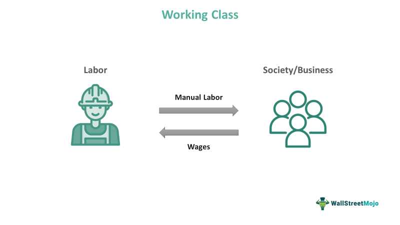 Compensation in the Working Class: How Much Do They Earn?