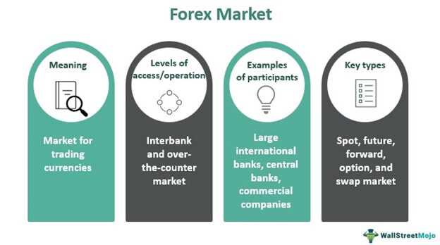 The Interbank Market: A Key Component of the Global Financial System