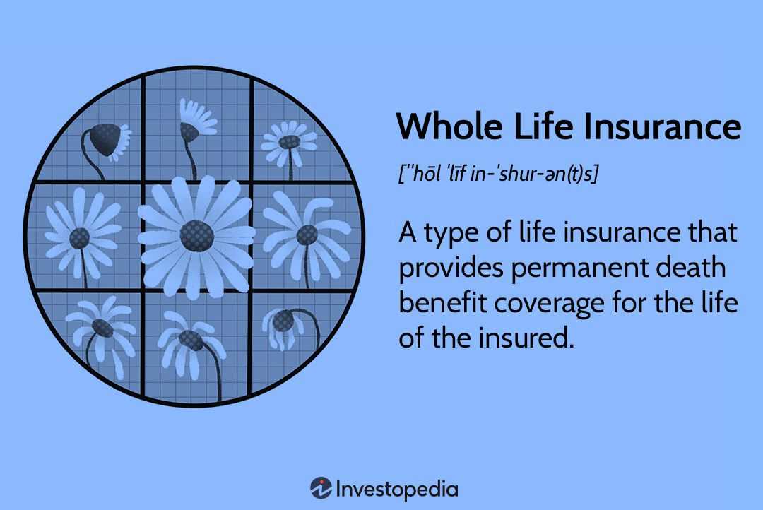 3. Evaluate the Insurance Company