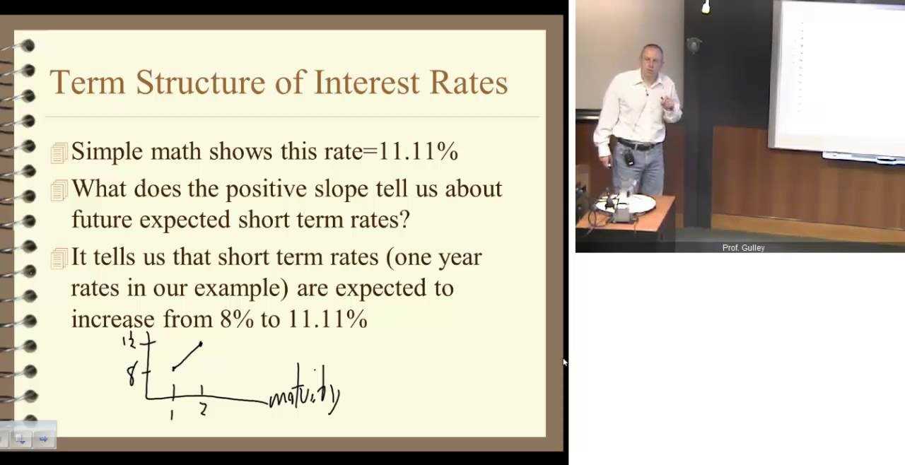 Factors Affecting the Term Structure of Interest Rates