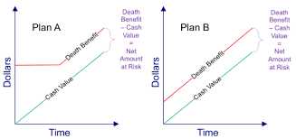 1. Variable Universal Life Insurance