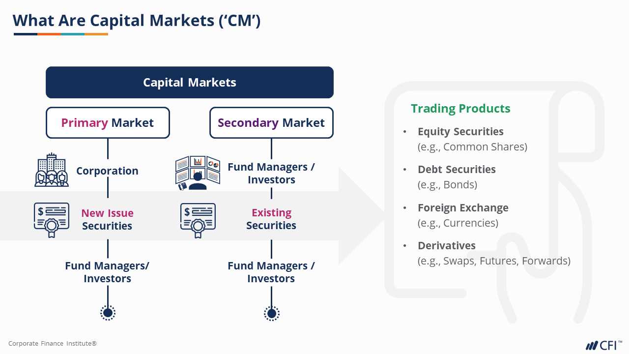 The Role of Participants in Capital Markets